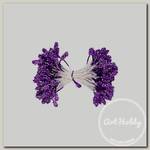 'Blumentag' / 'Fiorico' Тычинки для искусственных цветов TIC/F-3 85 шт фиолетовый/purple