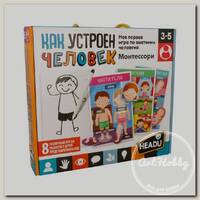 Игра настольная 'Headu' Как устроен человек RU29181
