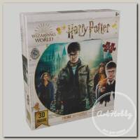 'Prime 3D' Пазл Super 3D 500 элемент. 32559 «Гарри, Гермиона и Рон»