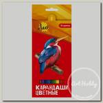 'Лео' 'Ярко' Набор цветных карандашей LBSCP-12 заточенный 12 цв. .