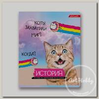 'SVETOCH' Тетрадь предметная 'На позитиве' A5+ 40 л. на скобе 60 г/кв.м , белизна 90 % клетка 40ТСК5_000096 История