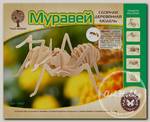 'Чудо-дерево' Модель сборная деревянная 'Животные' №02 E002 _'Муравей'
