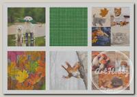 'Love2art' салфетки бумажные АССОРТИ 3х слойные SDD 33 x 33 12 шт. Набор №0517-02 'Приближение осени'