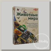 Игра настольная 'TACTIC' 'Животные мира' 58087
