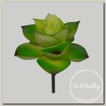 'Blumentag' ASU-19 Декоративные элементы 'суккулент' 1 шт. 6 x 7 см 01