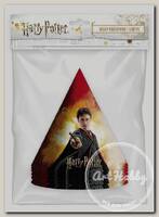 Набор колпачков 6 шт. 'Harry Potter' 278520
