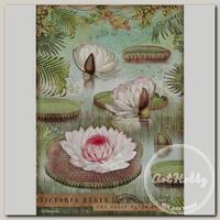 'Stamperia' Бумага рисовая DFSA4529 21 x 29.7 см Water lily / Водяная Лилия
