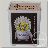 'Plant and Pet' Набор для выращивания Ромашка PIPS-02-09
