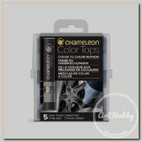 'Chameleon' Набор цветных блендеров 5 шт. 1-7 мм кисть