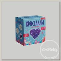 'PRO.Химия' Набор для экспериментов 'Фигурный кристалл' 'Сердце фиолетовое' A124